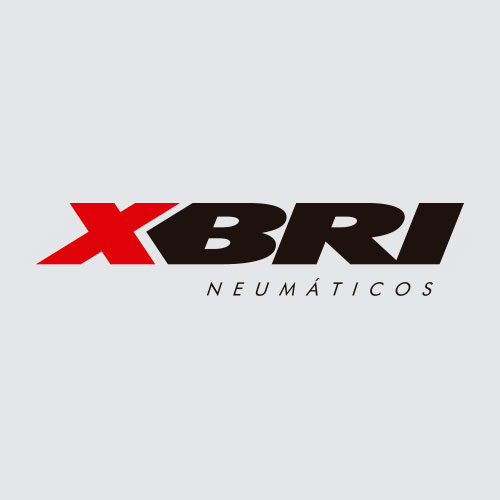 XBRI